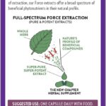 Orégano Force - New Chapter