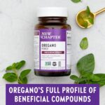 Orégano Force - New Chapter