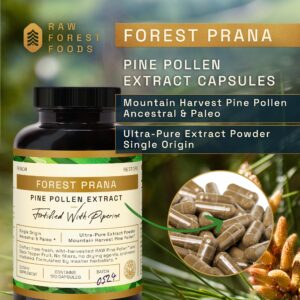 Pólen de Pinheiro em Cápsulas Raw Forest Foods – Extrato 50:1, 120 Cápsulas