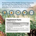 Pólen de Pinheiro em Cápsulas Raw Forest Foods – Extrato 50:1, 120 Cápsulas
