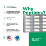 Ventfort - A3 - Bioregulador de peptídeos de vasos sanguíneos - Garmonia - 20 cápsulas