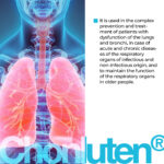 Chonluten Lingual Cytogens 10 ml - Suplemento para Normalização do Sistema Respiratório - 2