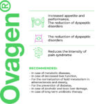 Ovagen Cytogens 60 Cápsulas - Suplemento para Normalização do Fígado e Digestão Saudável - 3