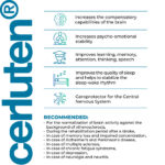 Cerluten Lingual Cytomaxes 10 ml - Suplemento para Recuperação do Sistema Nervoso Central - 3