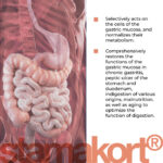 Stamakort Lingual Cytomaxes 10 ml - Suplemento para Recuperação Gastrointestinal e Saúde da Mucosa Gástrica - 2