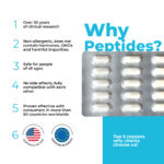 Chonluten Cytogens 60 Cápsulas - Suporte Avançado à Membrana Mucosa Brônquica e Hepática - 4