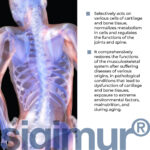 Sigumir Lingual Cytomaxes 10 ml - Suplemento para Recuperação do Sistema Musculoesquelético - 2