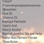 7-Keto DHEA BIOLABS PRO 118ml - Creme Natural para Queima de Gordura e Suporte Muscular - 5