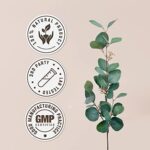 Extrato de Alface Selvagem Orgânico Sem Álcool - Suplemento Natural Alta Potência 2 Fl Oz - 5