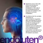 Endoluten Lingual Cytomaxes 10 ml - Regulador de Metabolismo e Melatonina Natural - 3