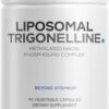 Codeage Liposomal Trigonelline 90 Cápsulas - Suporte Metabólico e Cognitivo com Entrega Lipossomal