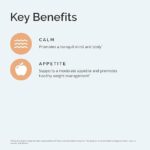 BRAINMD Dr Amen Serotonin Mood Support - Suplemento para Equilíbrio Emocional com 120 Cápsulas - 2