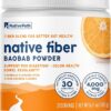 Pó de Fibra Pré-Biótica de Baobab Orgânico NativePath - Saúde Digestiva com Sabor de Laranja