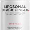 Suplemento de Gengibre Negro Codeage 500mg - Alta Absorção Lipossomal para Saúde Geral