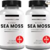 Cápsulas Orgânicas de Irish Sea Moss com Bladderwrack e Burdock - Suporte Antioxidante e Tireoide