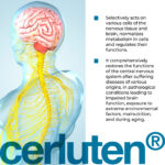 Cerluten Lingual Cytomaxes 10 ml - Suplemento para Recuperação do Sistema Nervoso Central - 2