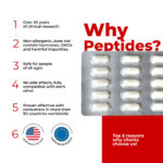 Vesugen Cytogens 60 Cápsulas - Restauração de Tecidos e Normalização da Função Vascular - 4