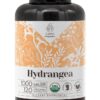 Hydrangea USDA Organic 120 Cápsulas - Suplemento Natural Vegetariano para Saúde Eficaz