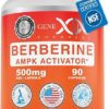 Suplemento de Berberina HCl 500mg - Apoio à Saúde Imunológica e Vegetariano