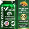 Cápsulas de Irish Sea Moss da VitaUp - Suporte Avançado para Cabelo, Pele e Imunidade com Ingredientes Naturais