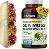 Cápsulas de Irish Sea Moss 1600 mg com Bladderwrack - Suplemento Vegano para Saúde Digestiva