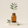 Óleo Essencial de Eucalipto Swiss Herbal 10ml - Aroma Refrescante para Foco e Aumento da Imunidade