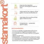 Stamakort Lingual Cytomaxes 10 ml - Suplemento para Recuperação Gastrointestinal e Saúde da Mucosa Gástrica - 3