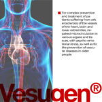 Vesugen Lingual Cytogens 10 ml - Restauração de Tecidos e Normalização Vascular Eficaz - 2
