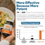 Extrato de Ashwagandha Ashwa-70® com 35% de Withanolides - Suporte para Humor e Performance