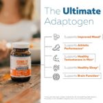 Extrato de Ashwagandha Ashwa-70® com 35% de Withanolides - Suporte para Humor e Performance