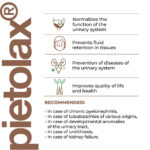 Pielotax Lingual Cytomaxes 10 ml - Suporte Completo para Saúde do Sistema Urinário - 3