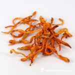 Cordyceps Fungiline 120 Cápsulas - Aumente sua Energia e Resistência Naturalmente - 4