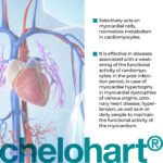 Chelohart Lingual Cytomaxes 10 ml - Suplemento Cardíaco para Saúde do Coração - 2