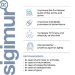 Sigumir Lingual Cytomaxes 10 ml - Suplemento para Recuperação do Sistema Musculoesquelético - 3
