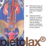 Pielotax Lingual Cytomaxes 10 ml - Suporte Completo para Saúde do Sistema Urinário - 2