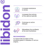 Libidon Lingual Cytomaxes 10 ml - Suplemento para Saúde Reprodutiva Masculina e Potência Sexual - 3