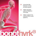 Bonothyrk Lingual Cytomaxes 10 ml - Suplemento para Sistema Nervoso e Musculoesquelético - 2
