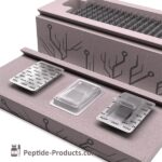 FAST NEURO BOOST - Peptídeos para Suporte Cognitivo e Memória em Adultos - 3