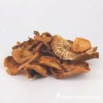 FLAMMULINA FUNGILINE 60 Cápsulas - Imunomodulador Eficaz Contra Alergias e Inflamações - 4