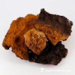 ONCOLOGY COMPLEX FUNGILINE 60 Cápsulas - Suporte Imunológico durante e após Quimioterapia - 4