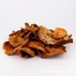 ONCOLOGY COMPLEX FUNGILINE 60 Cápsulas - Prevenção de Câncer com Cogumelos Medicinais Potentes - 6