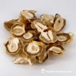 ONCOLOGY COMPLEX FUNGILINE 60 Cápsulas - Suporte Imunológico durante e após Quimioterapia - 8