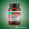 ONCOLOGY COMPLEX FUNGILINE 60 Cápsulas - Suporte Imunológico durante e após Quimioterapia