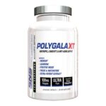 Polygala XT Serious Nutrition - 180 Cápsulas para Foco e Bem-Estar