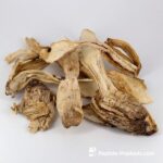 Extrato de Coprinus (Shaggy Ink Cap) 50 ml - Proteção do Fígado e Prevenção de Alzheimer - 3