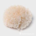 Tremella (Fungo da Neve) FUNGILINE 60 Cápsulas - Antioxidante para Juventude e Saúde - 4