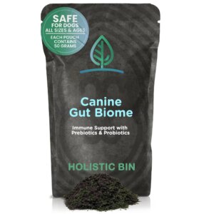 Suplemento de Proteína Vegano em Pó 100g - Aumenta Massa Muscular e Fornece Energia