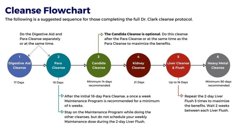 Entenda o Protocolo de Limpeza do Fígado: Benefícios e Aplicações