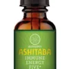 Tincture de Ashitaba 2 oz - Potencialize seu Sistema Imunológico e Saúde Geral