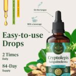 Tinture de Cryptolepis Sanguinolenta HERBAMAMA 4 Fl.Oz. - Suporte Imunológico Vegano e Sem Açúcar